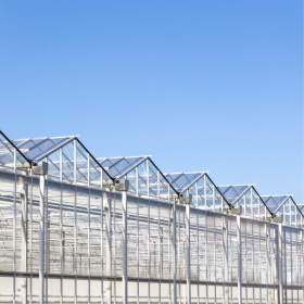 Cannabis & Greenhouse