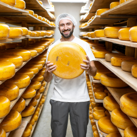 Dairy Industry